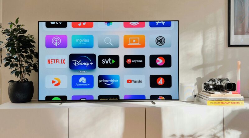 VidSrc: The Growing Buzz Around Online Video Streaming and Media Access